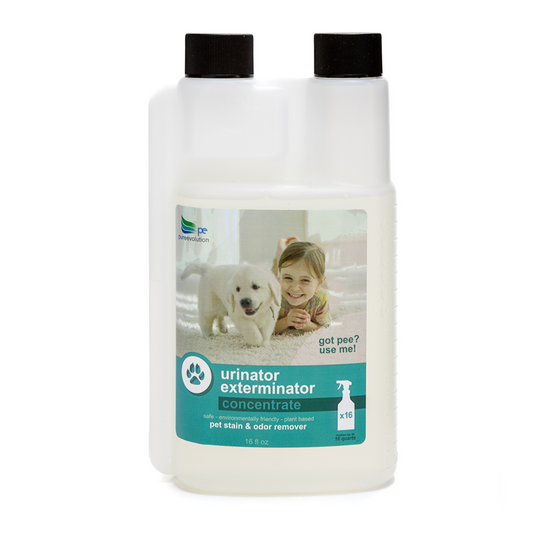 Stain and odor eliminator